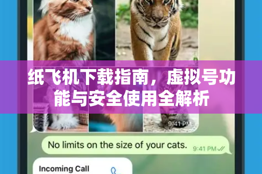 纸飞机下载指南，虚拟号功能与安全使用全解析-第1张图片-纸飞机下载电脑版 - 纸飞机PC桌面版 | 加密聊天社交软件