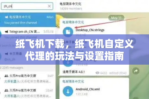 纸飞机下载，纸飞机自定义代理的玩法与设置指南-第1张图片-纸飞机下载电脑版 - 纸飞机PC桌面版 | 加密聊天社交软件