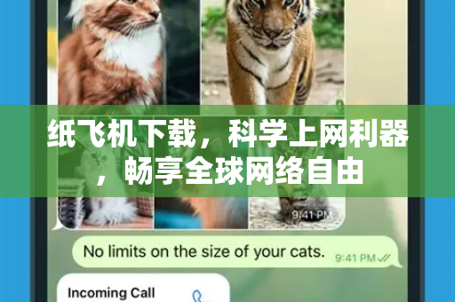 纸飞机下载，科学上网利器，畅享全球网络自由-第1张图片-纸飞机下载电脑版 - 纸飞机PC桌面版 | 加密聊天社交软件