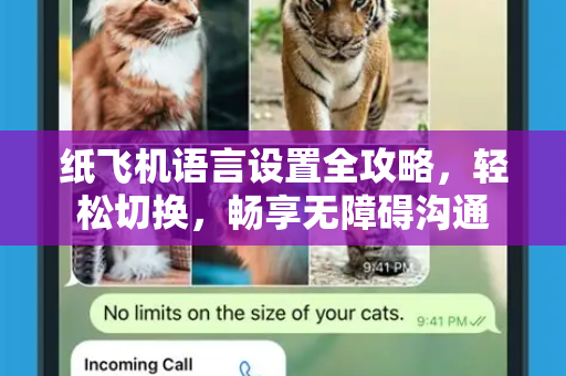 纸飞机语言设置全攻略，轻松切换，畅享无障碍沟通-第1张图片-纸飞机下载电脑版 - 纸飞机PC桌面版 | 加密聊天社交软件