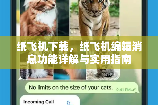 纸飞机下载，纸飞机编辑消息功能详解与实用指南-第1张图片-纸飞机下载电脑版 - 纸飞机PC桌面版 | 加密聊天社交软件