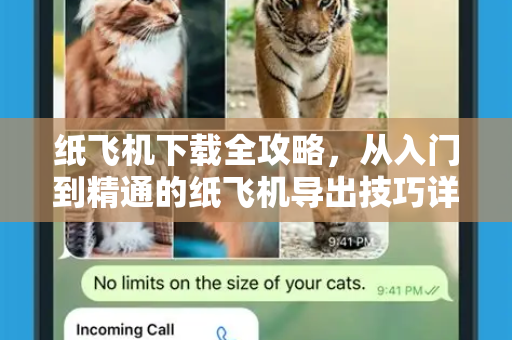 纸飞机下载全攻略，从入门到精通的纸飞机导出技巧详解-第1张图片-纸飞机下载电脑版 - 纸飞机PC桌面版 | 加密聊天社交软件
