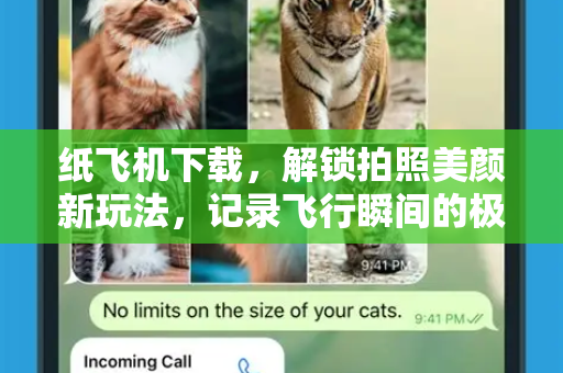 纸飞机下载，解锁拍照美颜新玩法，记录飞行瞬间的极致之美-第1张图片-纸飞机下载电脑版 - 纸飞机PC桌面版 | 加密聊天社交软件