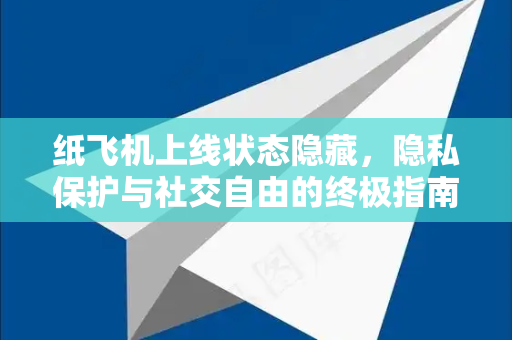 纸飞机上线状态隐藏，隐私保护与社交自由的终极指南