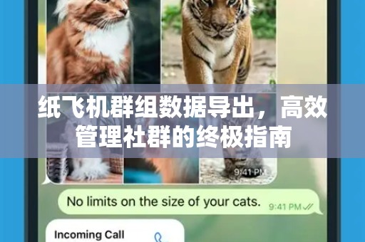 纸飞机群组数据导出，高效管理社群的终极指南-第1张图片-纸飞机下载电脑版 - 纸飞机PC桌面版 | 加密聊天社交软件