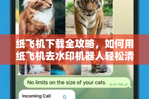 纸飞机下载全攻略，如何用纸飞机去水印机器人轻松清理视频水印-第1张图片-纸飞机下载电脑版 - 纸飞机PC桌面版 | 加密聊天社交软件