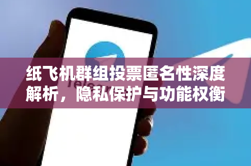 纸飞机群组投票匿名性深度解析，隐私保护与功能权衡