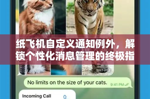 纸飞机自定义通知例外，解锁个性化消息管理的终极指南-第1张图片-纸飞机下载电脑版 - 纸飞机PC桌面版 | 加密聊天社交软件