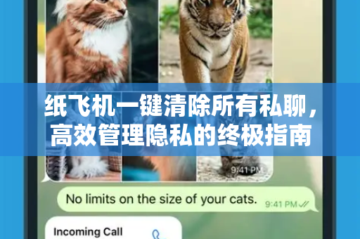 纸飞机一键清除所有私聊，高效管理隐私的终极指南-第1张图片-纸飞机下载电脑版 - 纸飞机PC桌面版 | 加密聊天社交软件