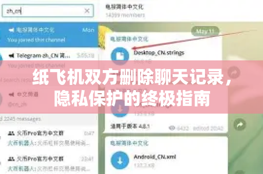 纸飞机双方删除聊天记录，隐私保护的终极指南