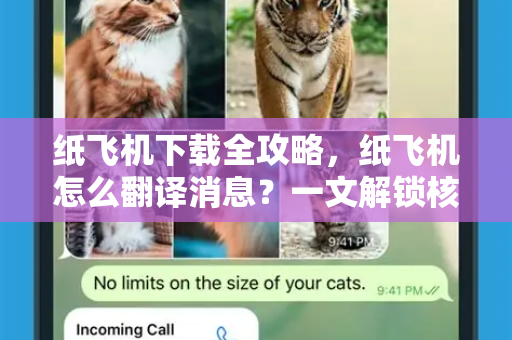 纸飞机下载全攻略，纸飞机怎么翻译消息？一文解锁核心技巧-第1张图片-纸飞机下载电脑版 - 纸飞机PC桌面版 | 加密聊天社交软件