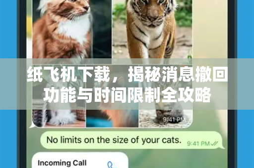 纸飞机下载，揭秘消息撤回功能与时间限制全攻略-第1张图片-纸飞机下载电脑版 - 纸飞机PC桌面版 | 加密聊天社交软件