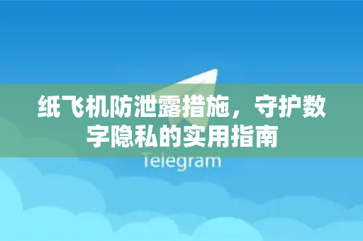 纸飞机防泄露措施，守护数字隐私的实用指南