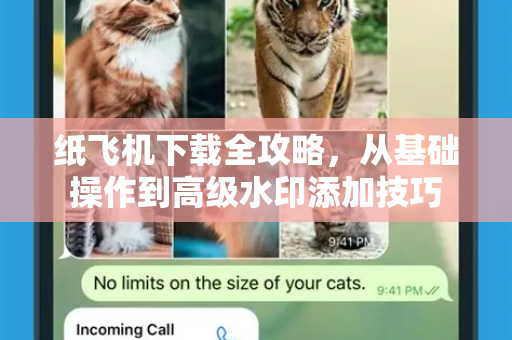 纸飞机下载全攻略，从基础操作到高级水印添加技巧