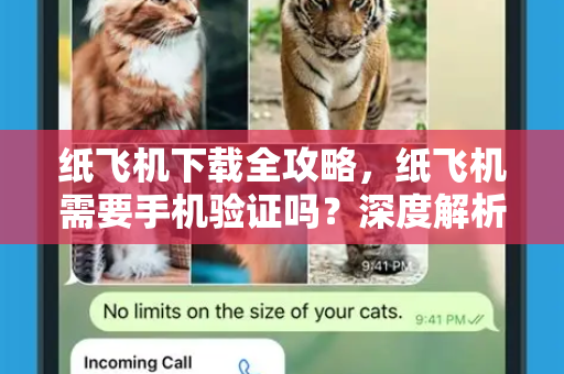 纸飞机下载全攻略，纸飞机需要手机验证吗？深度解析与实用问答-第1张图片-纸飞机下载电脑版 - 纸飞机PC桌面版 | 加密聊天社交软件