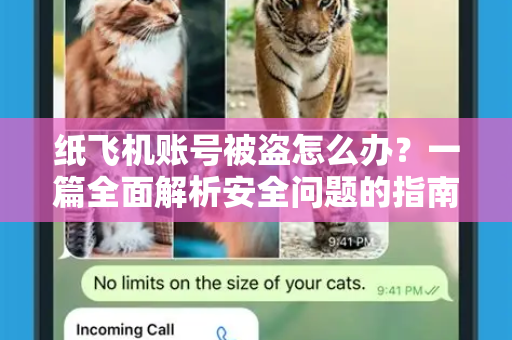 纸飞机账号被盗怎么办？一篇全面解析安全问题的指南-第1张图片-纸飞机下载电脑版 - 纸飞机PC桌面版 | 加密聊天社交软件