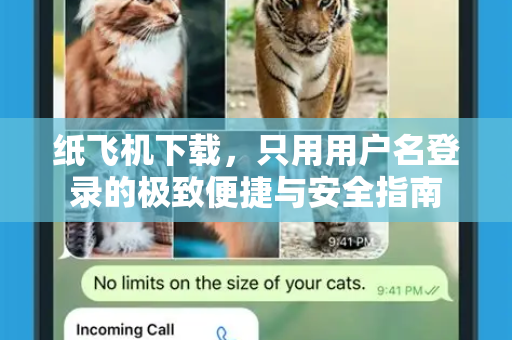 纸飞机下载，只用用户名登录的极致便捷与安全指南