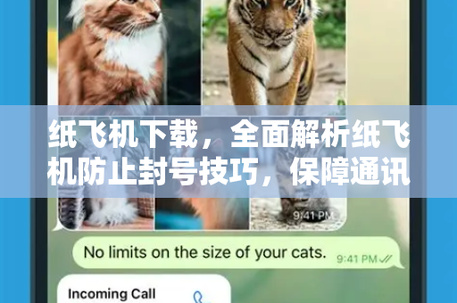 纸飞机下载，全面解析纸飞机防止封号技巧，保障通讯安全无忧-第1张图片-纸飞机下载电脑版 - 纸飞机PC桌面版 | 加密聊天社交软件