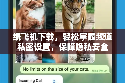 纸飞机下载，轻松掌握频道私密设置，保障隐私安全