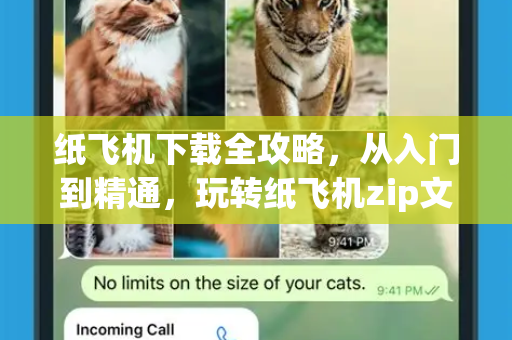 纸飞机下载全攻略，从入门到精通，玩转纸飞机zip文件