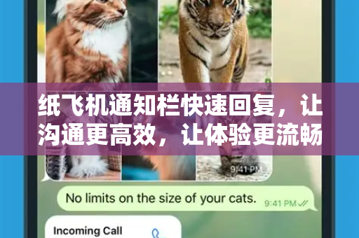 纸飞机通知栏快速回复，让沟通更高效，让体验更流畅-第1张图片-纸飞机下载电脑版 - 纸飞机PC桌面版 | 加密聊天社交软件