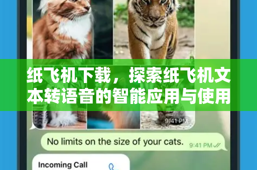 纸飞机下载，探索纸飞机文本转语音的智能应用与使用指南-第1张图片-纸飞机下载电脑版 - 纸飞机PC桌面版 | 加密聊天社交软件