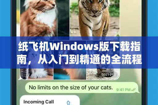 纸飞机Windows版下载指南，从入门到精通的全流程解析