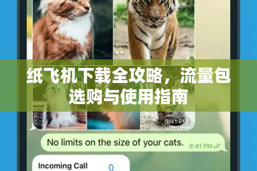 纸飞机下载全攻略，流量包选购与使用指南