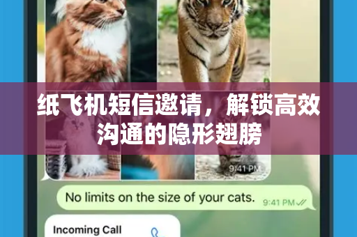 纸飞机短信邀请，解锁高效沟通的隐形翅膀