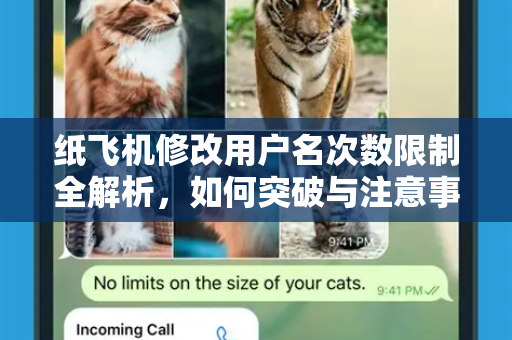 纸飞机修改用户名次数限制全解析，如何突破与注意事项