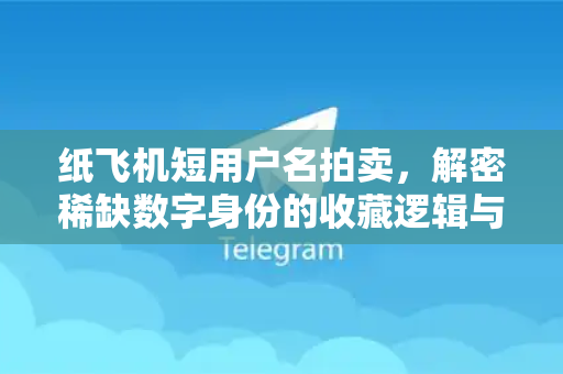 纸飞机短用户名拍卖，解密稀缺数字身份的收藏逻辑与交易生态-第1张图片-纸飞机下载电脑版 - 纸飞机PC桌面版 | 加密聊天社交软件