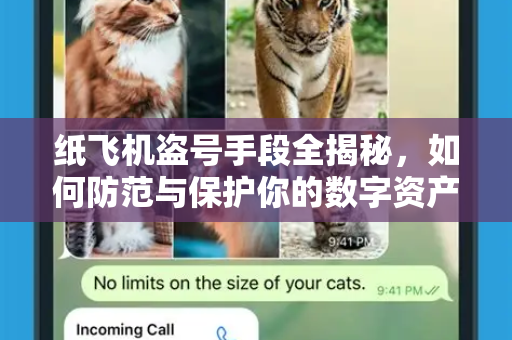 纸飞机盗号手段全揭秘，如何防范与保护你的数字资产