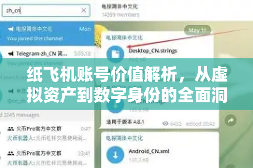纸飞机账号价值解析，从虚拟资产到数字身份的全面洞察-第1张图片-纸飞机下载电脑版 - 纸飞机PC桌面版 | 加密聊天社交软件