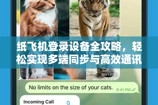 纸飞机登录设备全攻略，轻松实现多端同步与高效通讯