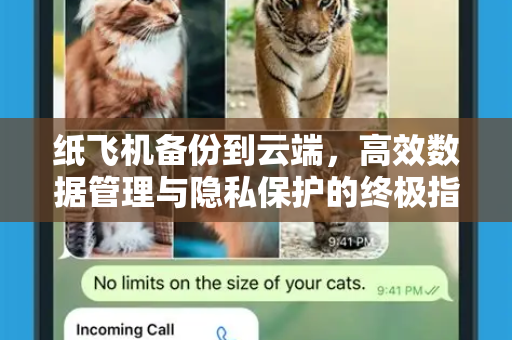 纸飞机备份到云端，高效数据管理与隐私保护的终极指南