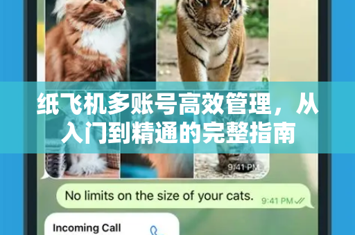 纸飞机多账号高效管理，从入门到精通的完整指南
